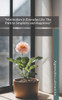 "Minimalism in Everyday Life: The Path to Simplicity and Happiness"