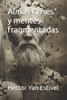 Almas Grises y mentes fragmentadas