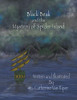 Black Beak And The Mystery Of Spider Island