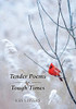 Tender Poems For Tough Times - 9781039108868