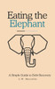 Eating the Elephant: A Simple Guide to Debt Recovery