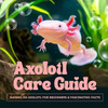 Axolotl Care Guide: Raising an Axolotl for Beginners and Fascinating Facts