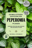 Ein Mini-Leitfaden zur Pflege von Peperomia-Pflanzen