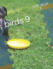 birds 9