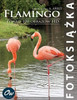 Flamingo: Fotoksiążka