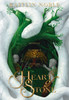 Heart of Stone - (Hardback or Cased Book)