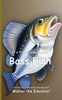 It's Time to Learn about Bass Fish