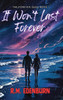 It Won't Last Forever - (Hardback or Cased Book)
