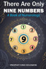 There Are Only Nine Numbers: A Book of Numerology
