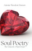 Soul Poetry: The Voices in a Man's Heart - (Hardback or Cased Book)