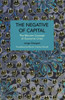 The Negative of Capital