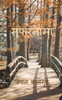 Safarnama: सूफियाना शायरी