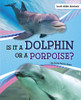 Is It A Dolphin Or A Porpoise? (Look-Alike Animals)