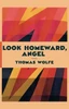 Look Homeward, Angel - 9781420982770