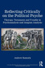 Reflecting Critically on the Political Psyche: Therapy, Testament and Trouble in Psychoanalysis and Jungian Analysis - (Paperback or Softback)