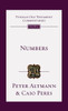 Numbers: An Introduction and Commentary - (Hardback or Cased Book)