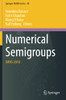 Numerical Semigroups: Imns 2018 (Springer Indam Series)
