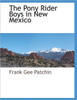 The Pony Rider Boys in New Mexico Large Print