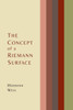 The Concept of a Riemann Surface