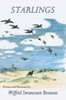Starlings