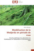 Modélisation de la medjerda en période de crue