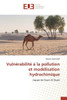 VulnÃ©rabilitÃ© Ã€ La Pollution Et ModÃ©lisation Hydrochimique