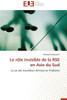 Le Rôle Invisible de la Rse En Asie Du Sud