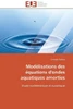 ModÃ©lisations Des Ã‰quations d'Ondes Aquatiques Amorties