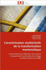 CaractÃ©risation MultiÃ©chelle de la Transformation Martensitique