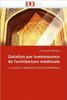 Datation Par Luminescence de l''architecture MÃ©diÃ©vale