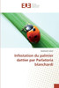 Infestation du palmier dattier par parlatoria blanchardi
