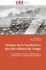 Analyse de la LiquÃ©faction Des Sols Sableux de Tanger