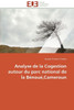 Analyse de la cogestion autour du parc national de la bÃ©nouÃ©, cameroun