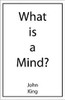 What is a Mind?