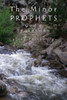 The Minor Prophets: God's Spokesmen