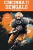 Cincinnati Bengals Fun Facts