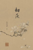 劫灰: 九世纪前后的中国故事