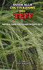 Guida alla Coltivazione del Teff