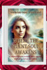 Where The Silent Soul Awakens: A reflective journey to inner peace, spiritual awakening, and sacred wisdom