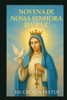 Novena de Nossa Senhora Da Paz: 9 dias de oraÃ§Ãµes e reflexÃµes pela intercessÃ£o de Maria: encontrando paz em tempos turbulentos