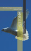 Angel: The Messengers of God and the Glory of Christ