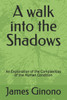 A walk into the Shadows: An Exploration of the Complexities of the Human Condition