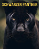 Schwarzer Panther: SpaÃŸfakten und erstaunliche Bilder Ã¼ber Schwarzer Panther