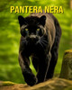 Pantera nera: Immagini Divertenti e Straordinarie sui Pantera nera