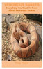 Venomous Snakes: Everything You Need To Know About Venomous Snakes