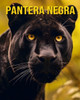 Pantera Negra: Um Livro Ilustrado sobre a Pantera Negra e Seus Filhotes