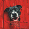 Max el Travieso y su Gran Escape (y Regreso)