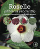 Roselle (Hibiscus Sabdariffa): Chemistry, Production, Products, And Utilization