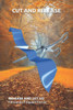 Cut and Release: Release and let go
