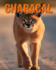Characal: Des Informations et des Images Amusantes et Intéressantes concernant les Characal